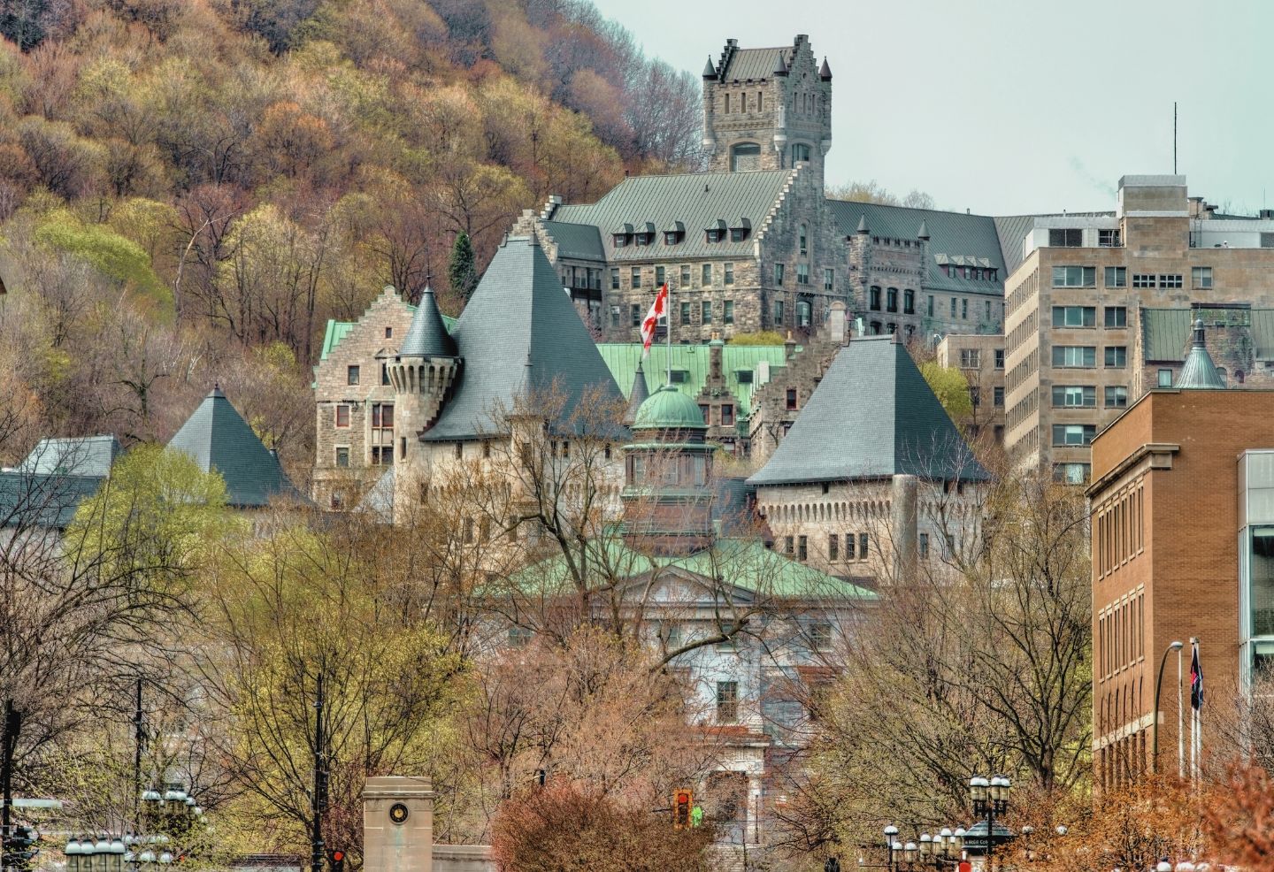 Vue panoramique de l'Université McGill à Montréal, mettant en valeur son architecture emblématique en pierre grise et son emplacement au pied du Mont Royal. Cette image illustre l'engagement du corps professoral dans la défense des conditions de travail et la mobilisation syndicale. Découvrez comment trois nouvelles associations de professeur·es de McGill rejoignent la FQPPU pour renforcer la solidarité face aux coupes budgétaires et aux attaques contre les droits syndicaux.